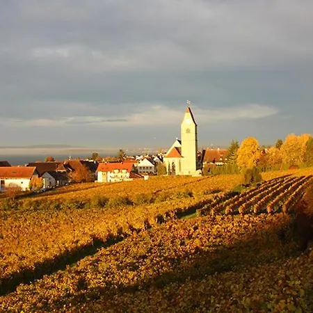 Hotel Berger Ug Hagnau am Bodensee