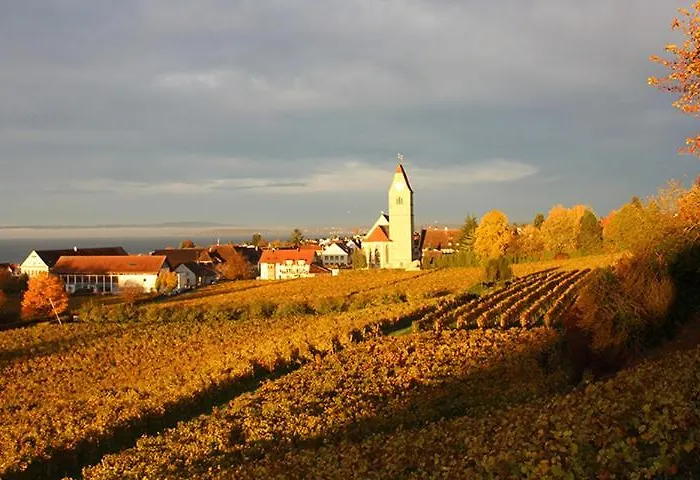 Hotel Berger Ug Hagnau am Bodensee